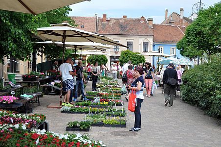 Írottkő Szálloda - olcsó szállás Kőszegen a Hotel Írottkőben - kávézóterasz