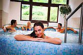 Hotel Lövér Sopronban, akciós wellness hétvége a Hotel Lövérben - Jacuzzi